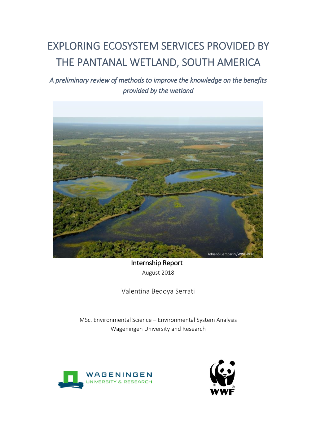 Exploring Ecosystem Services Provided by the Pantanal Wetland, South America