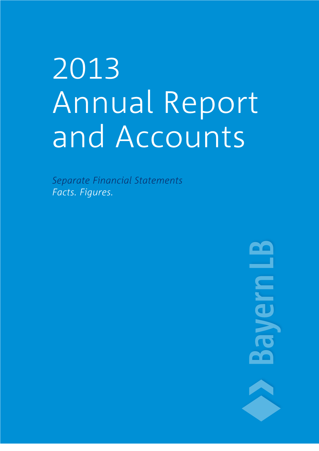 2013 Annual Report and Accounts