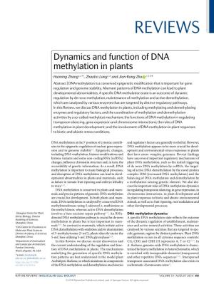 Dynamics and Function of DNA Methylation in Plants