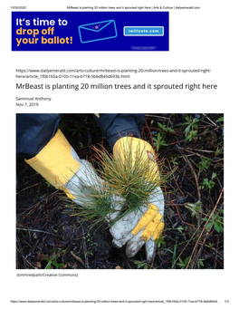 Mrbeast Is Planting 20 Million Trees and It Sprouted Right Here | Arts & Culture | Dailyemerald.Com