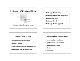 Pathology of Head and Neck