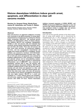 Histone Deacetylase Inhibitors Induce Growth Arrest, Apoptosis, and Differentiation in Clear Cell Sarcoma Models