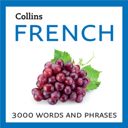 3000 Words and Phrases