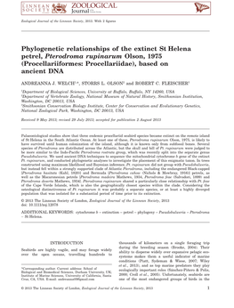 Phylogenetic Relationships of the Extinct Sthelena Petrel, Pterodroma