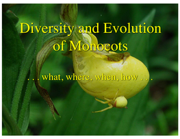 Diversity and Evolution of Monocots