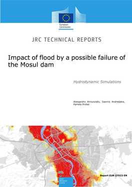 Impact of Flood by a Possible Failure of the Mosul Dam