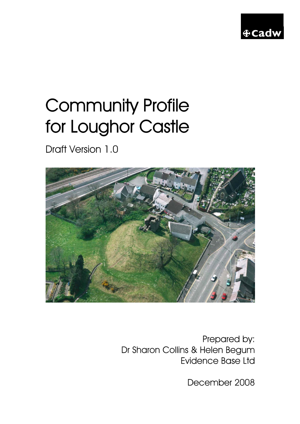 Community Profile for Loughor Castle