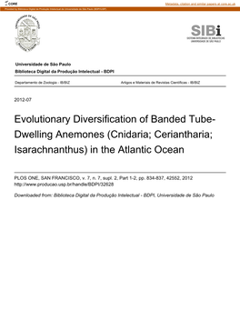 Evolutionary Diversification of Banded Tube- Dwelling Anemones (Cnidaria; Ceriantharia; Isarachnanthus) in the Atlantic Ocean