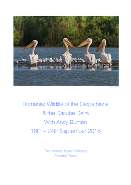 Romania: Wildlife of the Carpathians & the Danube Delta with Andy Bunten 16Th – 24Th September 2018