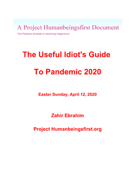 The Useful Idiot's Guide to Pandemic 2020 by Zahir Ebrahim
