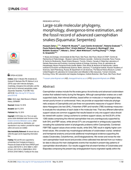 Large-Scale Molecular Phylogeny, Morphology, Divergence-Time Estimation, and the Fossil Record of Advanced Caenophidian Snakes (Squamata: Serpentes)