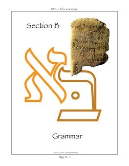 Section B Grammar