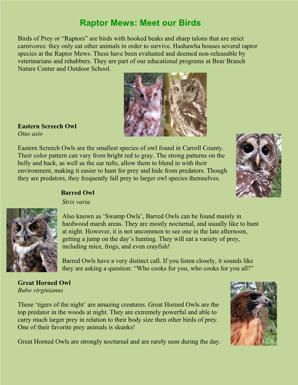 Raptor Mews: Meet Our Birds