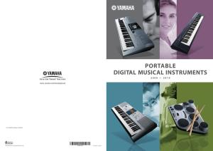 Portable Digital Musical Instruments 2009 — 2010