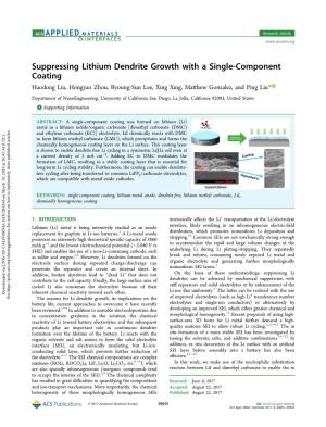 Suppressing Lithium Dendrite Growth with a Single-Component Coating