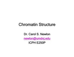 Chromatin Structure