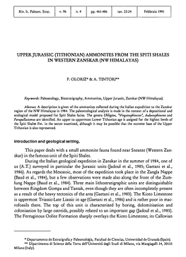 Tithonian) Ammonites from the Spit! Shales in Western Zanskar(Nw Himalayas