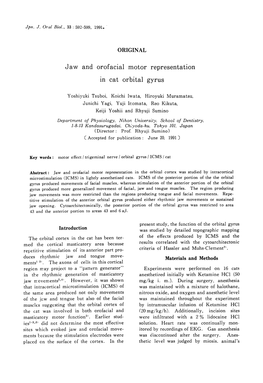 Jaw and Orofacial Motor Representation in Cat Orbital Gyrus 593