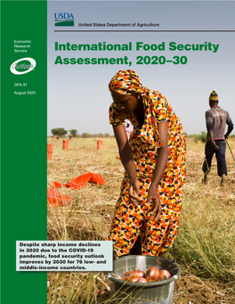 International Food Security Assessment, 2020–30