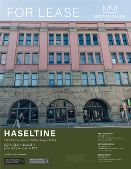 Haseltine Flyer 120320