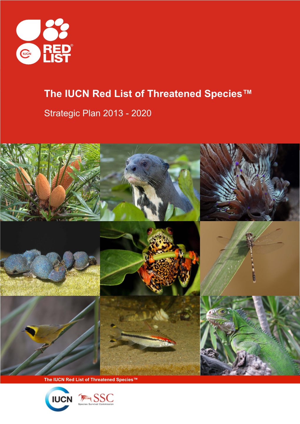 the-iucn-red-list-of-threatened-species-strategic-plan-2013-2020-docslib