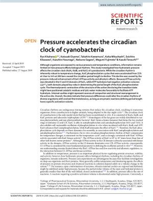Pressure Accelerates the Circadian Clock of Cyanobacteria
