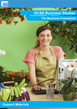 GCSE Business Studies -The Business Framework