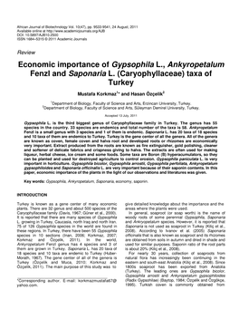 Economic Importance of Gypsophila L., Ankyropetalum Fenzl and Saponaria L