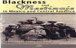 Blackness and Mestizaje in Mexico and Central America the Harriet Tubman Series on the African Diaspora Paul E