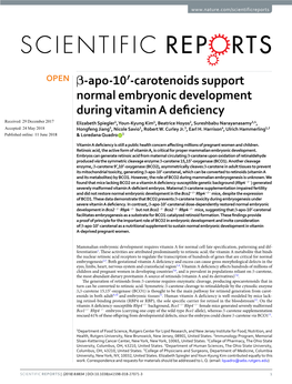 Carotenoids Support Normal Embryonic Development During Vitamin A