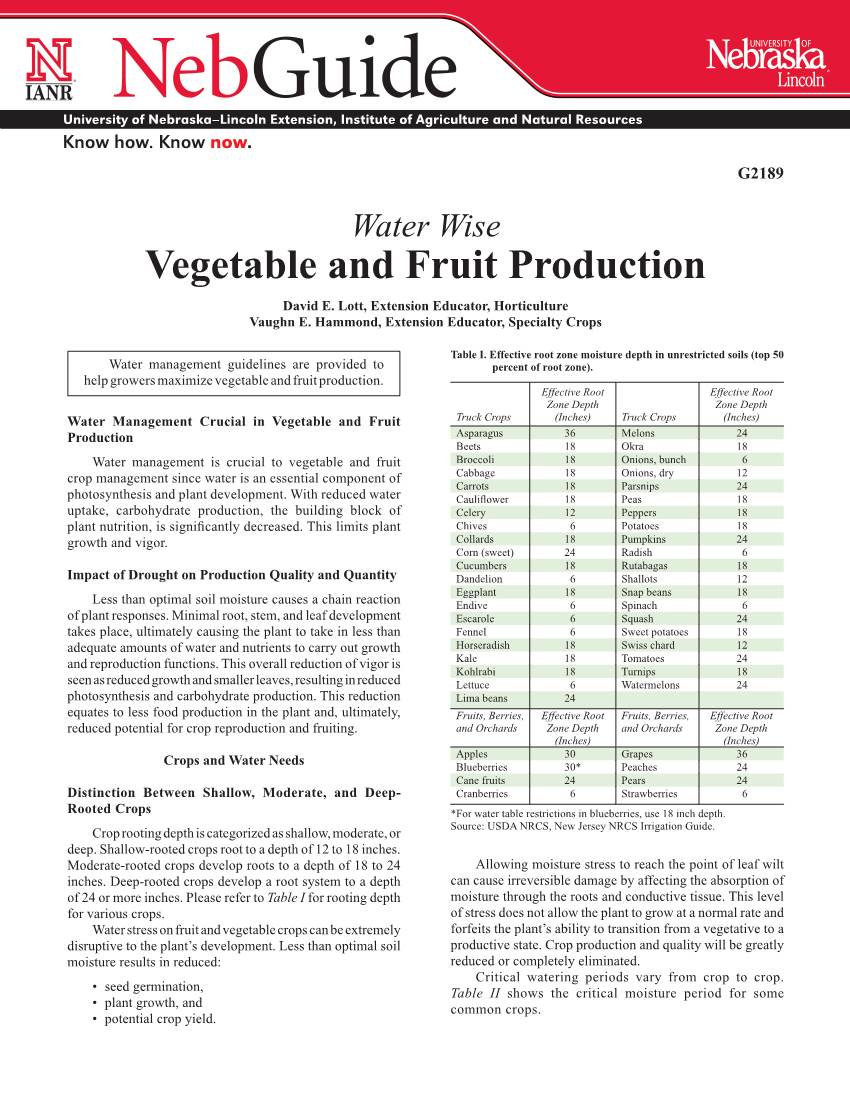 Vegetable and Fruit Production David E