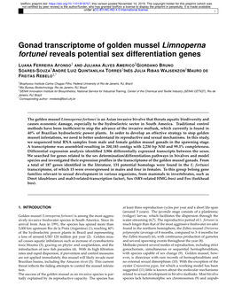 Gonad Transcriptome of Golden Mussel Limnoperna Fortunei Reveals Potential Sex Differentiation Genes