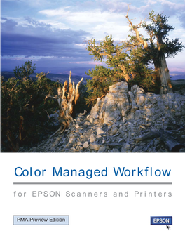 Color Managed Workflow for EPSON Scanners and Printers