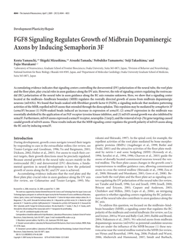 FGF8 Signaling Regulates Growth of Midbrain Dopaminergic Axons by Inducing Semaphorin 3F