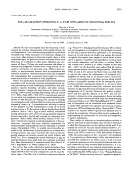 Sexual Selection Operating in a Wild Population of Drosophila Robusta