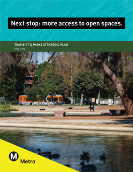 Transit to Parks Strategic Plan