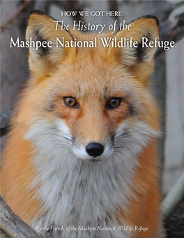 The History of the Mashpee National Wildlife Refuge