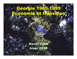 Géorgie 1985-1995 Economie Et Transition