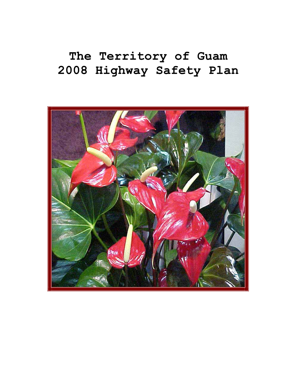The Territory of Guam 2008 Highway Safety Plan