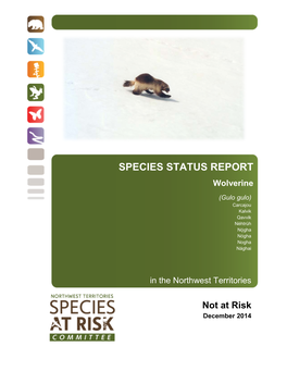 Status Report and Assessment of Wolverine in the NWT (2014)