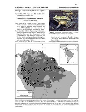 AMPHIBIA: ANURA: LEPTODACTYLIDAE Leptodactylus Pentadactylus