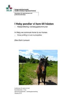 I Heby Pendlar Vi Hem Till Hästen – Hästprofilering I Landsbygdskommuner