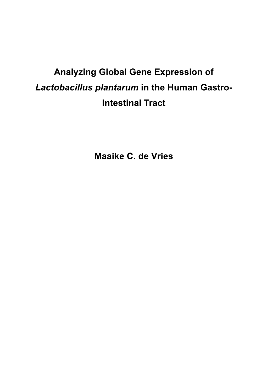 Analyzing Global Gene Expression of Lactobacillus Plantarum in the Human Gastro- Intestinal Tract