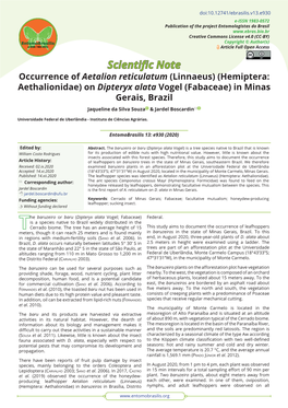 Occurrence of Aetalion Reticulatum (Linnaeus) (Hemiptera