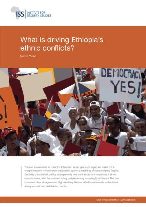 What Is Driving Ethiopia's Ethnic Conflicts?