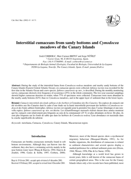 Interstitial Cumaceans from Sandy Bottoms and Cymodocea Meadows of the Canary Islands