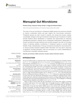 Marsupial Gut Microbiome