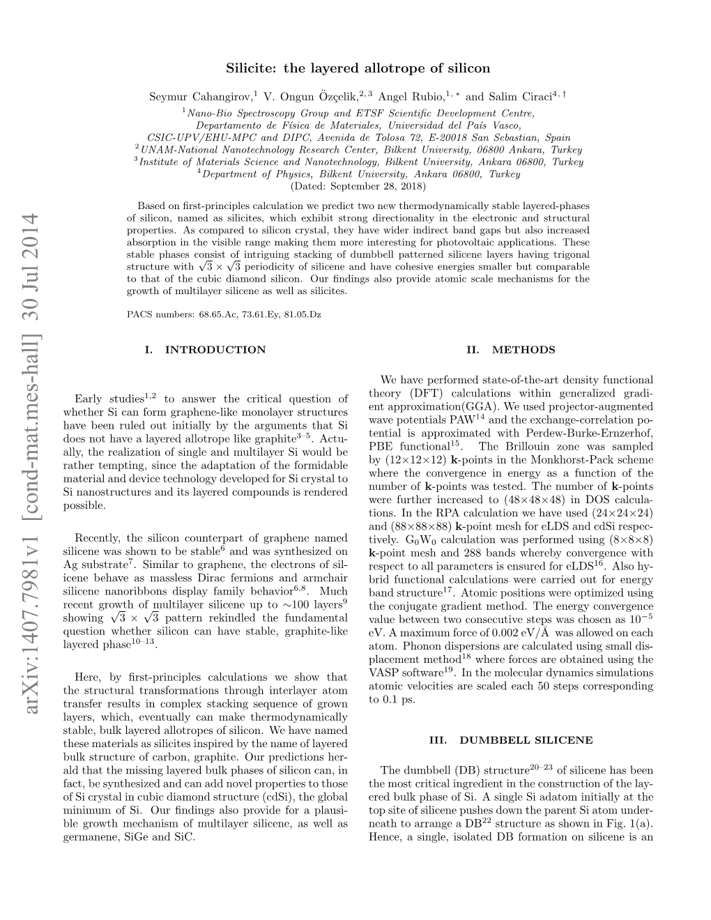 Silicite: the Layered Allotrope of Silicon