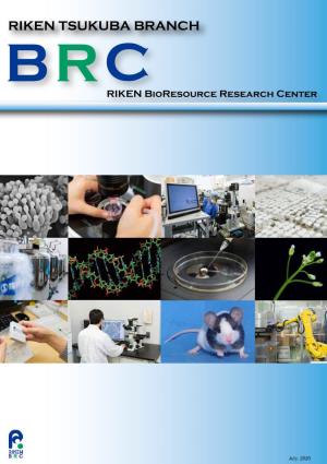 RIKEN Bioresource Center Brochure