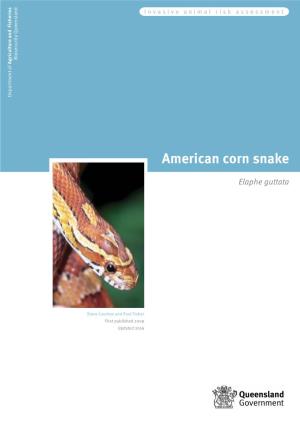 American Corn Snake Risk Assessment